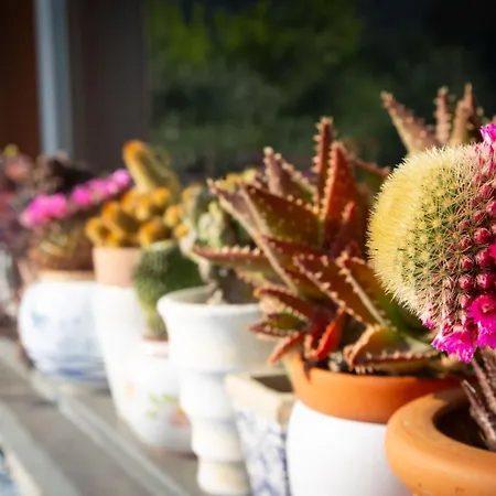 La Milanese Отель типа 