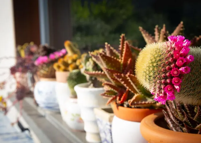 La Milanese Отель типа 